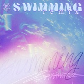 Swimming (feat. Hans., Nate Fox, Sushi Ceej & The Kount) [Nate Fox, Sushi Ceej & The Kount Remix] artwork