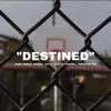 Stream & download Destined (feat. Swaizy, 350, ELI PLM, TJ Carroll & JordanMicah) - Single