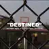 Destined (feat. Swaizy, 350, ELI PLM, TJ Carroll & JordanMicah) - Single album cover