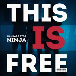 Ninja - Single by Randat & BYOR album reviews, ratings, credits