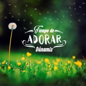 Tiempo de Adorar artwork