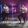 Folklore Romántico: Nada Tengo de Ti / Canción del Adiós / Dueña de Mi Alma / Zamba para Olvidarte - Single