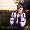 Omu Meu - Single
