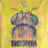 Drosophila - EP album lyrics, reviews, download
