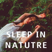 Sleep in Nature - Piano Music artwork
