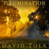 Illumination - Single