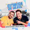 Eu E A Torcida Do Brasil - Single album lyrics, reviews, download