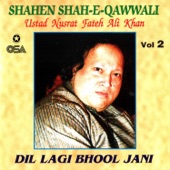 Dil Lagi Bhool Jani, Vol. 2 artwork