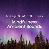 Mindfulness Ambient Sounds (Sleep & Mindfulness) artwork