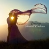 Farewell Embrace - Single