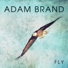 Fly - Single