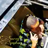 Sunroof Symphony album lyrics, reviews, download