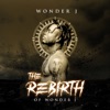 The Rebirth of Wonder J, 2021