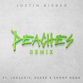 Peaches (Remix) [feat. Ludacris, Usher & Snoop Dogg] artwork