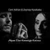 Akşam Olur Karanlığa Kalırsın (feat. Cem Adrian) - Single