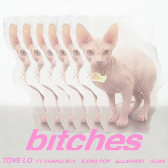 Cover artwork for bitches