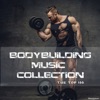 Bodybuilding Music Collection: The Top 100