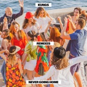 Never Going Home (Remixes) artwork