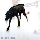 Black Dog artwork