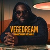 Vegedream - Laisser tomber