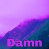 Damn - Single