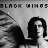 Black Wings - Single