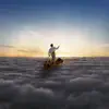 Stream & download The Endless River (Deluxe Edition)