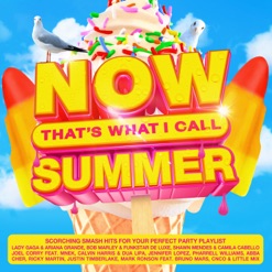 NOW THAT'S WHAT I CALL SUMMER cover art