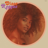 Disco Reggae Vol. 4 - Various Artists