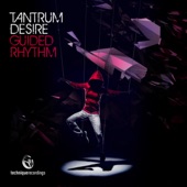 Guided Rhythm (Dubstep Mix) artwork