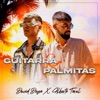 Guitarra y Palmitas - Single