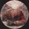 Collapse - Zeltak lyrics