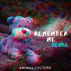 Remember Me (Remix) - Single album lyrics, reviews, download