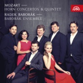 Mozart: Horn Concertos, Quintet artwork