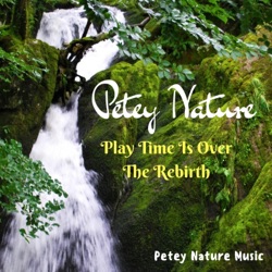 Petey Nature - God in My Life (feat. Gritty)