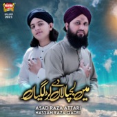 Mein Lajpalan De Lar Lagiyan (feat. Hassan Raza Qadri) artwork