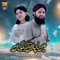 Mein Lajpalan De Lar Lagiyan (feat. Hassan Raza Qadri) artwork