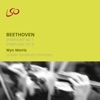 Leopold Stokowski & London Symphony Orchestra - Symphony No. 7 in A Major, Op. 92: III. Presto