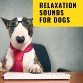 Relaxation Sounds For Dogs artwork