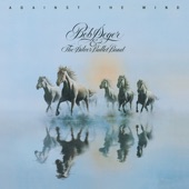 Bob Seger & The Silver Bullet Band - The Horizontal Bop