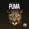 Puma - Travis Lydian & Kyle Morgan lyrics