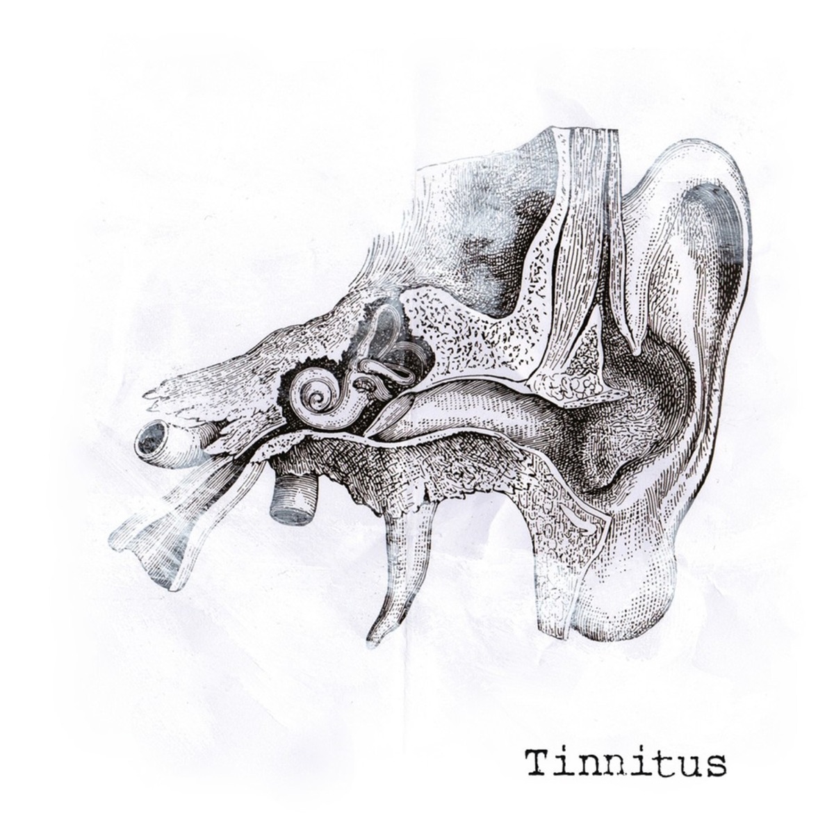 Hanumpa – Tinnitus