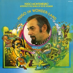 Hugo Montenegro - Too High