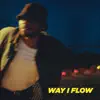 Way I Flow (feat. DillanPonders) - Single album lyrics, reviews, download