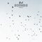 Wild Birds - Natural Sound Makers, Nature Recordings & Natural Sample Makers lyrics