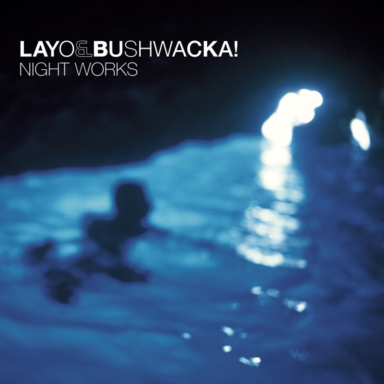 Cover artwork for Vinyl