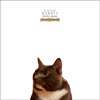 Love Rabbit - Hello, Mimi