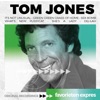 Heather Small & Tom Jones - Burning Down the House (feat. The Cardigans)
