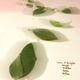 ESSENCE OF EUCALYPTUS cover art