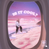 is it cool? artwork